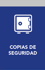 Copias de Seguridad