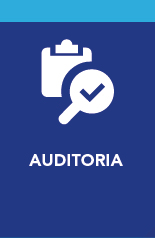 Auditoría Informática